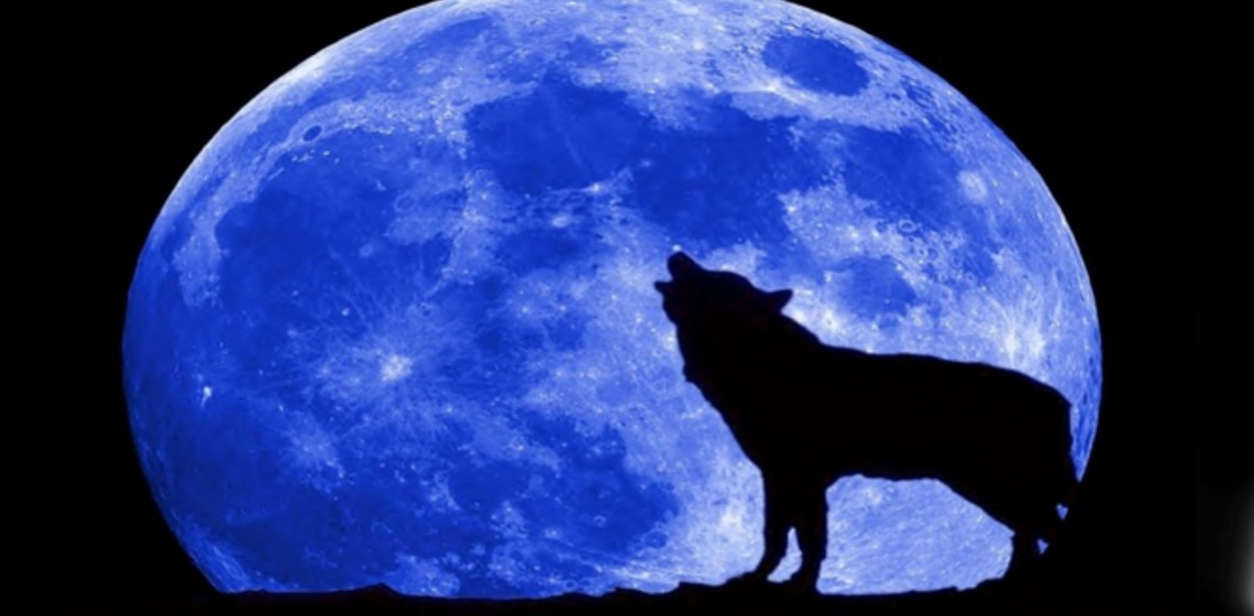 blue moon | Timber Composite Doors Blog
