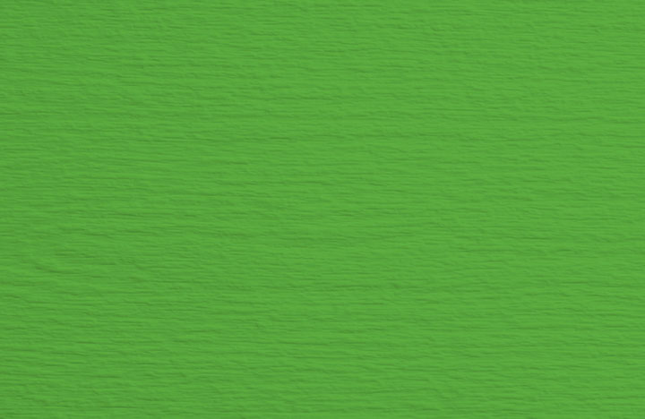 Pistachio Green